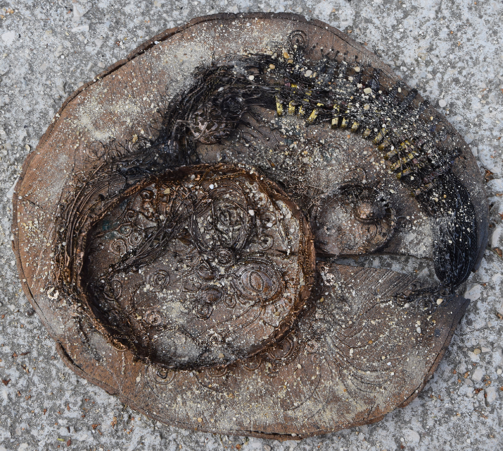 Fossile - 6 par Zandrine C